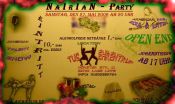 nairianpartyklein